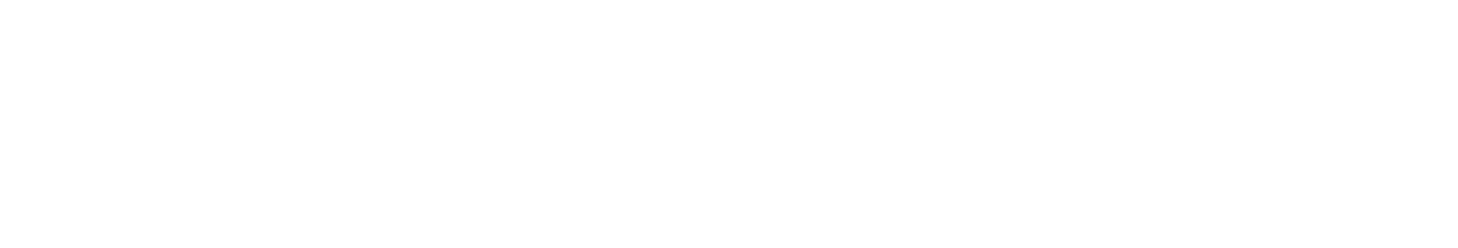 Logo Dr Roberto Nava